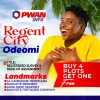 Land for Sale in Ode-Omi, Ibeju Lekki, Lagos