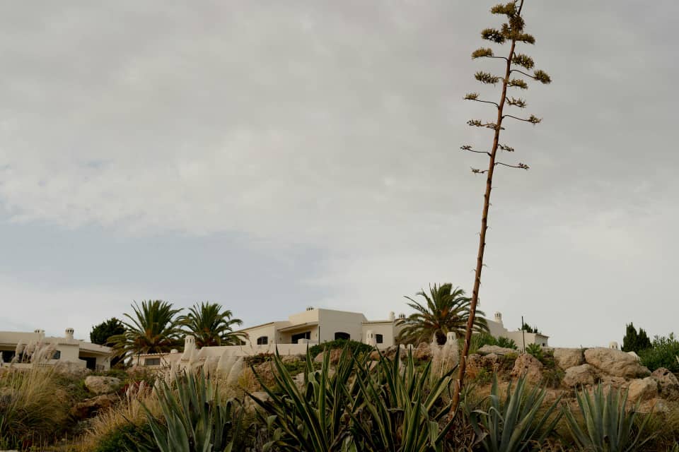 PWAN Climate Change in Real Estate