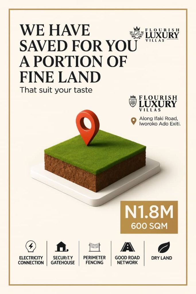 How David Found His Dream Land in Ado Ekiti with PWAN – A Success StoryS