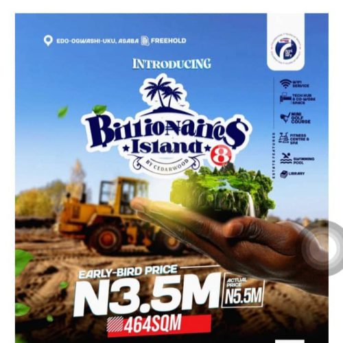 Land for Sale in Asaba Delta State: Invest in Modern Living at Billionaires Island by Cedarwood 8