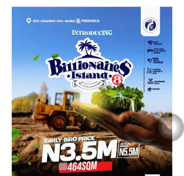 Land for Sale in Asaba Delta State: Invest in Modern Living at Billionaires Island by Cedarwood 8