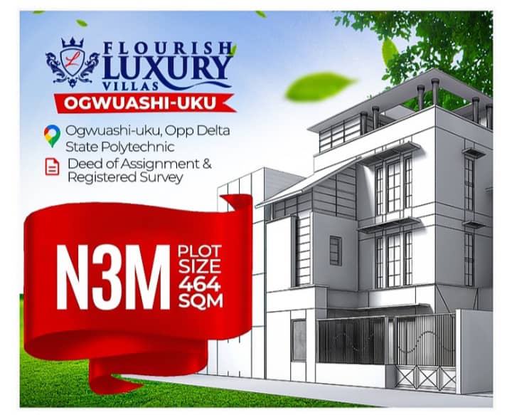 ₦3M for Land in Delta? Too Good to Be True?